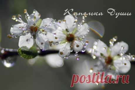 Мой Мир@Mail.Ru