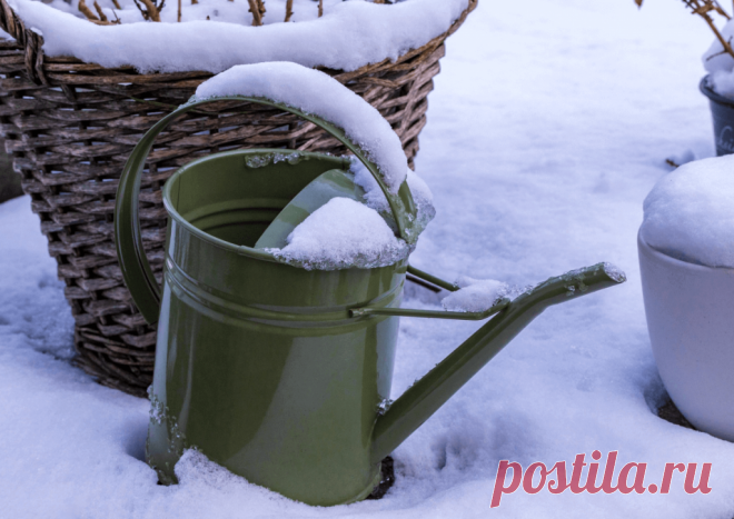 Календарь сезонных работ в саду: декабрь - Planetalsad