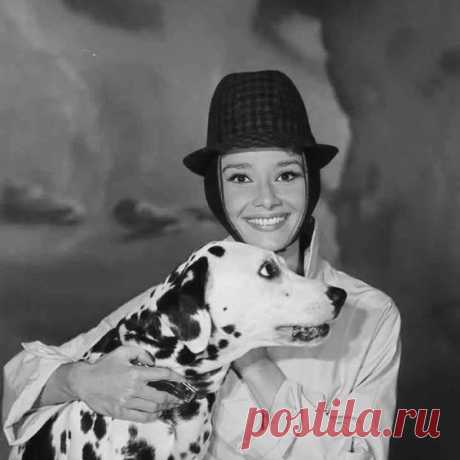(29) Одноклассники
