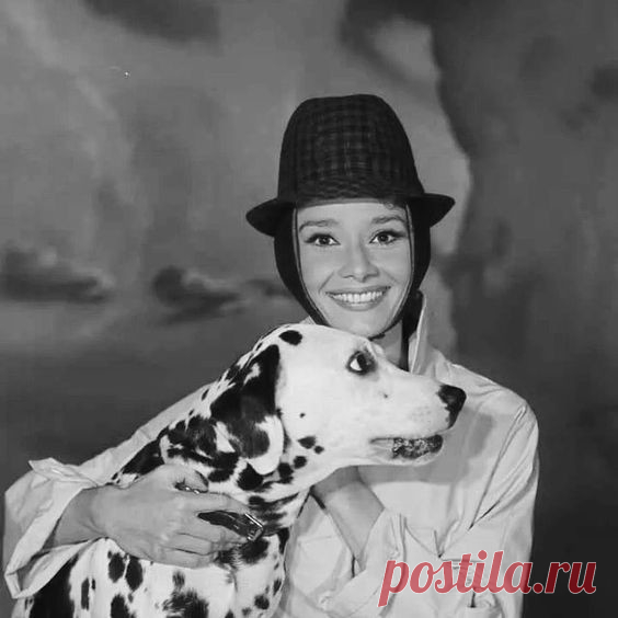(29) Одноклассники