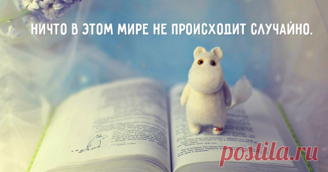 Случайностей не существует — всё на этом свете либо испытание, либо наказание, либо награда, либо предвестие. – Вольтер