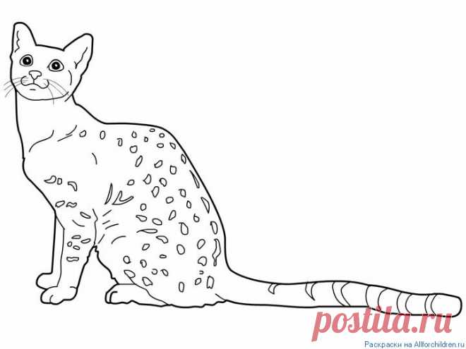 Распечатать раскраску на принтере. Раскраски для детей :: Все для детей. Детские ресурсы