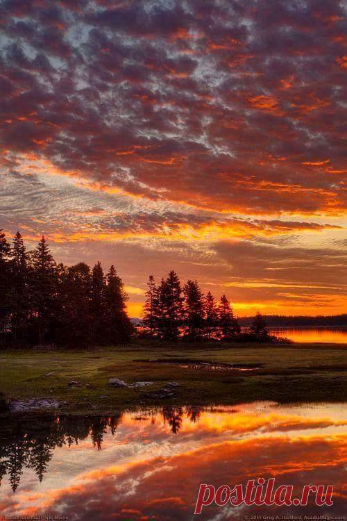 angelillo — Sunset at Acadia National Park, Maine