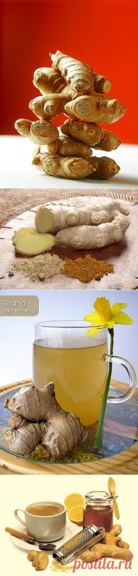 О моем любимом имбире - божественный аромат, вкус...