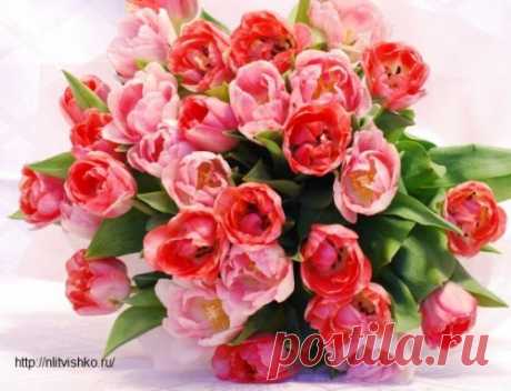 Итоги конкурса и рассказ из сборника - Блог Натальи Литвишко Итоги конкурса в блоге, поздравления победителям, размышления по поводу проведения конкурсов и рассказ из сборника "Серёжки с топазами"