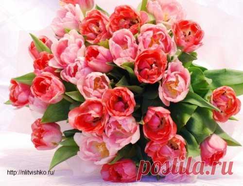 Итоги конкурса и рассказ из сборника - Блог Натальи Литвишко Итоги конкурса в блоге, поздравления победителям, размышления по поводу проведения конкурсов и рассказ из сборника 