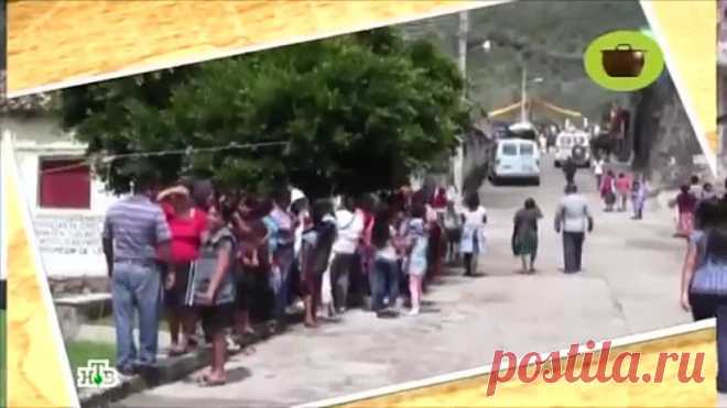 Готовим с Алексеем Зиминым - 