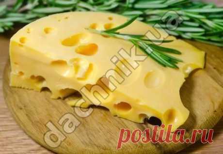 Закваска для сыра Эдам (на 6 литров молока), цена 16,50 грн., купить в Хмельницком — Prom.ua (ID#935967116) Закваска для сыра Эдам (на 6 литров молока), цена 16,50 грн., купить в Хмельницком — Prom.ua (ID#935967116). Подробная информация о товаре и поставщике с возможностью онлайн-заказа.