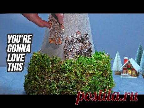 I gathered moss and bark from the forest and look at the incredible beauty I made!
