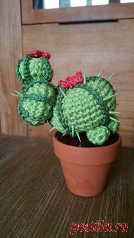 crochet cactus: