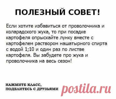 ● Чтобы не потерять эту информацию, жмите &quot;Класс!&quot; и &quot;Поделиться&quot;