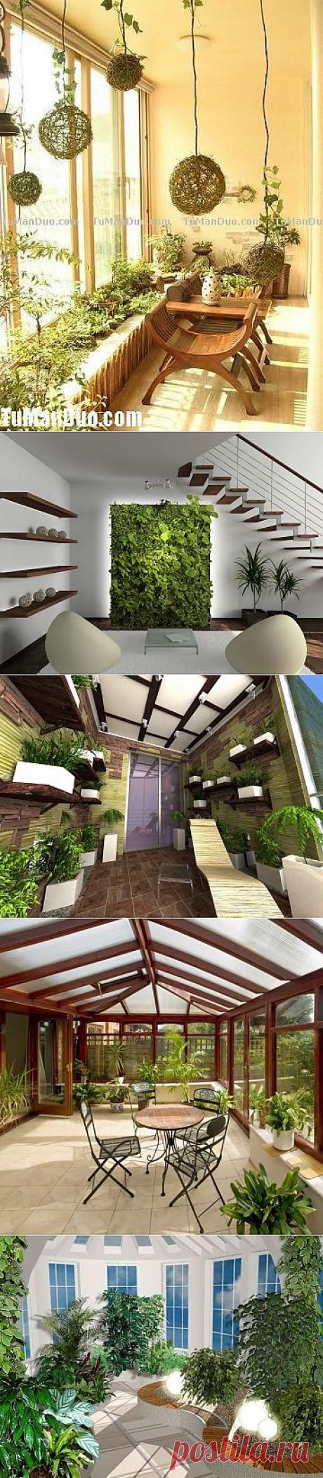 Зимние сады. 50 разнообразных вариантов. | ПолонСил.ру - социальная сеть здоровья