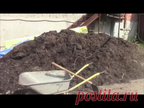 АТ38 Бизнес план по червеводству без иллюзий и мечтаний.Черви Старатель 16.07.2014.