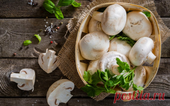 Ką dar su pievagrybiais? 41 skanutėlis receptas | La Maistas
