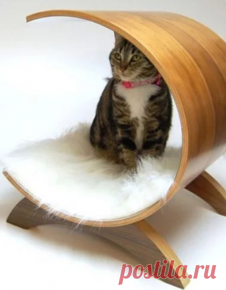 Кошачий навес