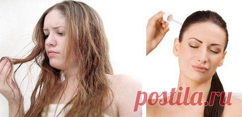 Как правильно ухаживать за сухими волосами в домашних условиях с помощью масок. Эффективные средства по уходу за сухими пористыми и кудрявыми волосами