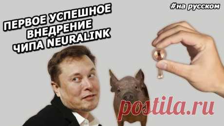 Илон Маск_ презентация нового ЧИПА для мозга NEURALINK _2020_.mp4 Илон Маск представил новую версию чипа Neuralink 0.9, робота для имплантации чипа и чипированных свиней. Маск и команда Neuralink рассказали о будущем технологии, её перспективах и как мы в будущем сможем контролировать свой мозг с помощью смартфона.
Как работает наш мозг, нейроинтерфейсы и чип Neuralink в частности, а также подробнее о том, что это нам сулит - в нашем видео - https://youtu.be/dN3LJ6qZih0
...