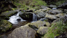 Живые фотографии – Живые картинки – Сообщество – Google+