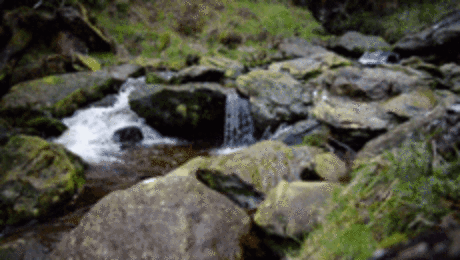 Живые фотографии – Живые картинки – Сообщество – Google+