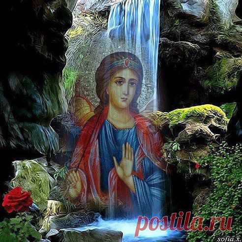 (70) Одноклассники