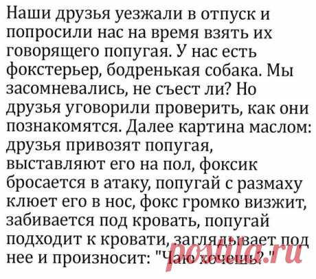 Да, я такая!