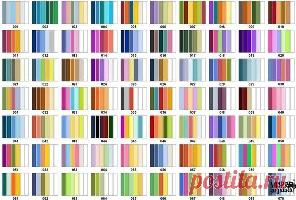 Сочетание цветов