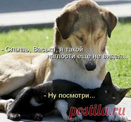 Релакс для души.