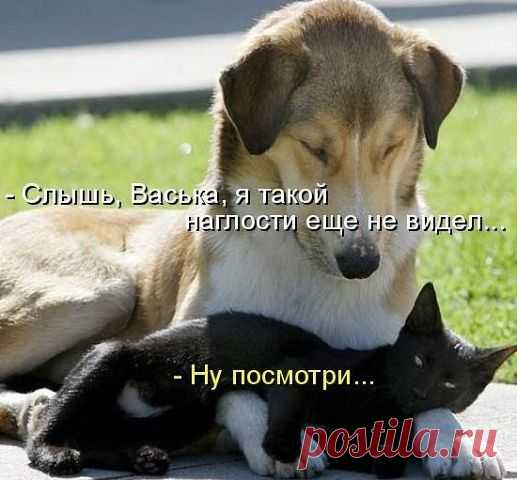 Релакс для души.
