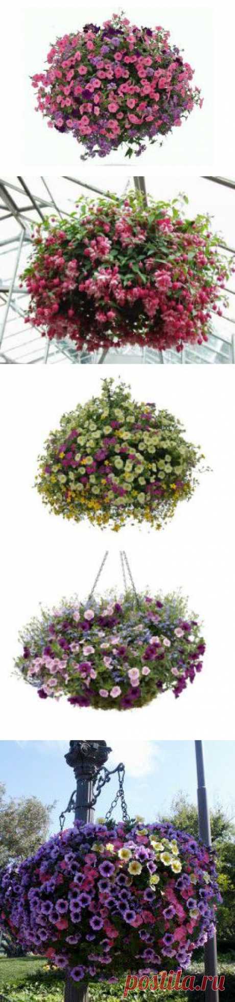 Цветы в подвесных кашпо | Креативные идеи - для дома, для сада, вязание, шитье, описание моделей