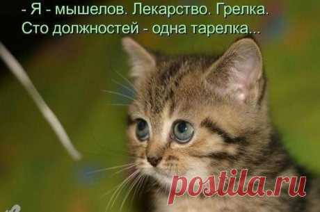 Фотографии на стене сообщества | 32 779 фотографий