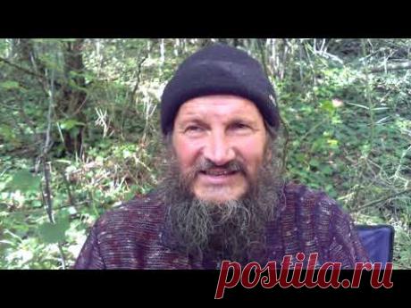 Как я вылечился от рака кишечника.