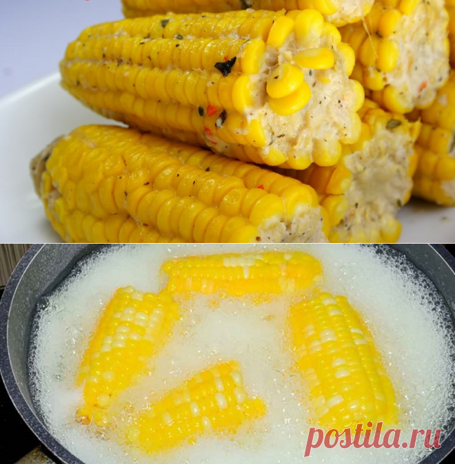 Она сварила вкуснейшую кукурузу, добавив в кастрюлю 2 этих ингредиента!