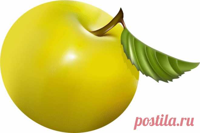 клипарт «дары природы