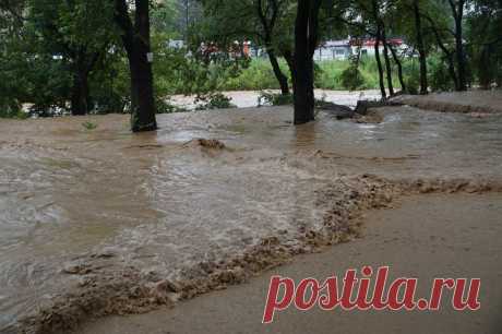 (3) Photos from Николай Тютюнник's post - Николай Тютюнник