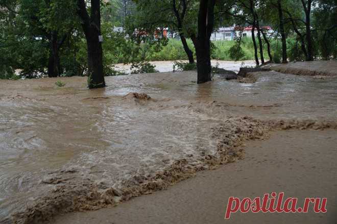 (3) Photos from Николай Тютюнник's post - Николай Тютюнник