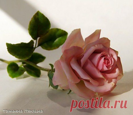 рецепты холодного фарфора, все  секреты лепки из полимерной глины