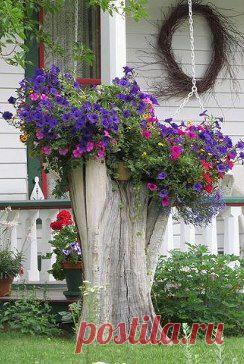 Одноклассники