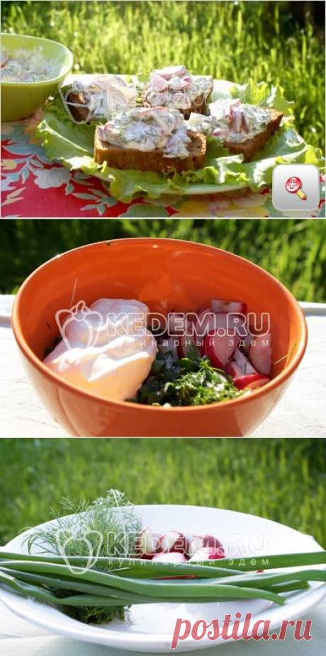 Бутерброды с зеленью и редисом    :)