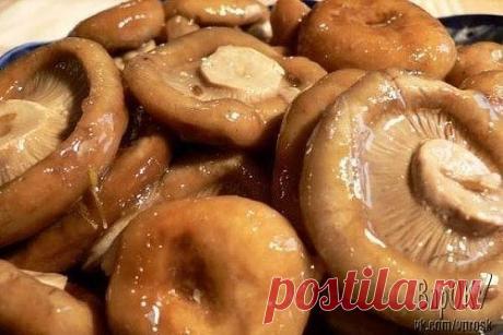 (88) Одноклассники