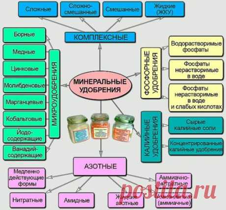 Что относится к минеральным удобрениям, их классификация, состав, применение