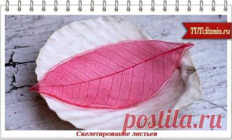 Скелетирование листьев и идеи использования + Фото » Дизайн &amp; Декор своими руками