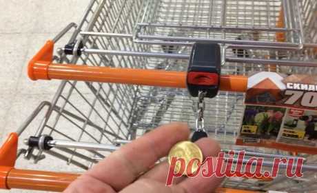 Мой маленький бизнес У меня профессия: «сборщик тележек и продуктовых корзин». Я весь день бегаю по супермаркету, собираю корзинки, выстраиваю их у входа, тележки от выхода