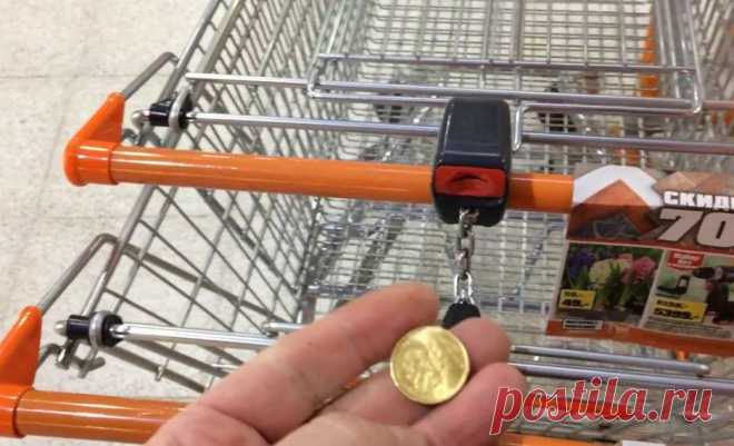 Мой маленький бизнес У меня профессия: «сборщик тележек и продуктовых корзин». Я весь день бегаю по супермаркету, собираю корзинки, выстраиваю их у входа, тележки от выхода