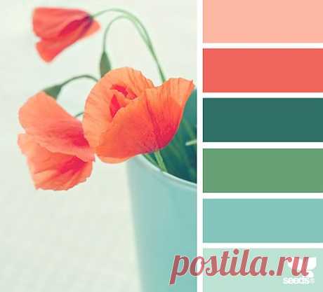 Design Seeds® | find your palette