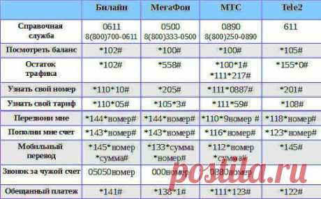 Полезные советы