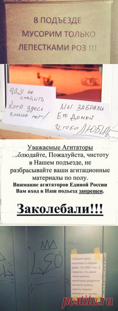 15 душевных объявлений из наших подъездов – Art Post