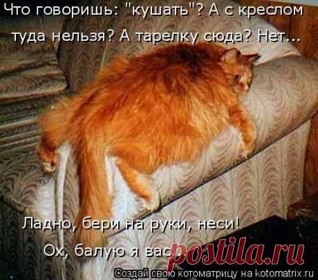 Котоматрица: Круть