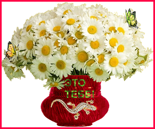Мой Мир@Mail.Ru