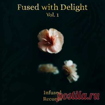 VA - Fused With Delight, Vol. 1 IRO17 » MinimalFreaks.co