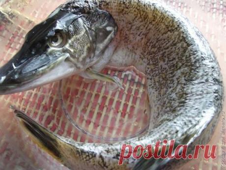 Щука, жаренная с чесноком / Рецепты с фото